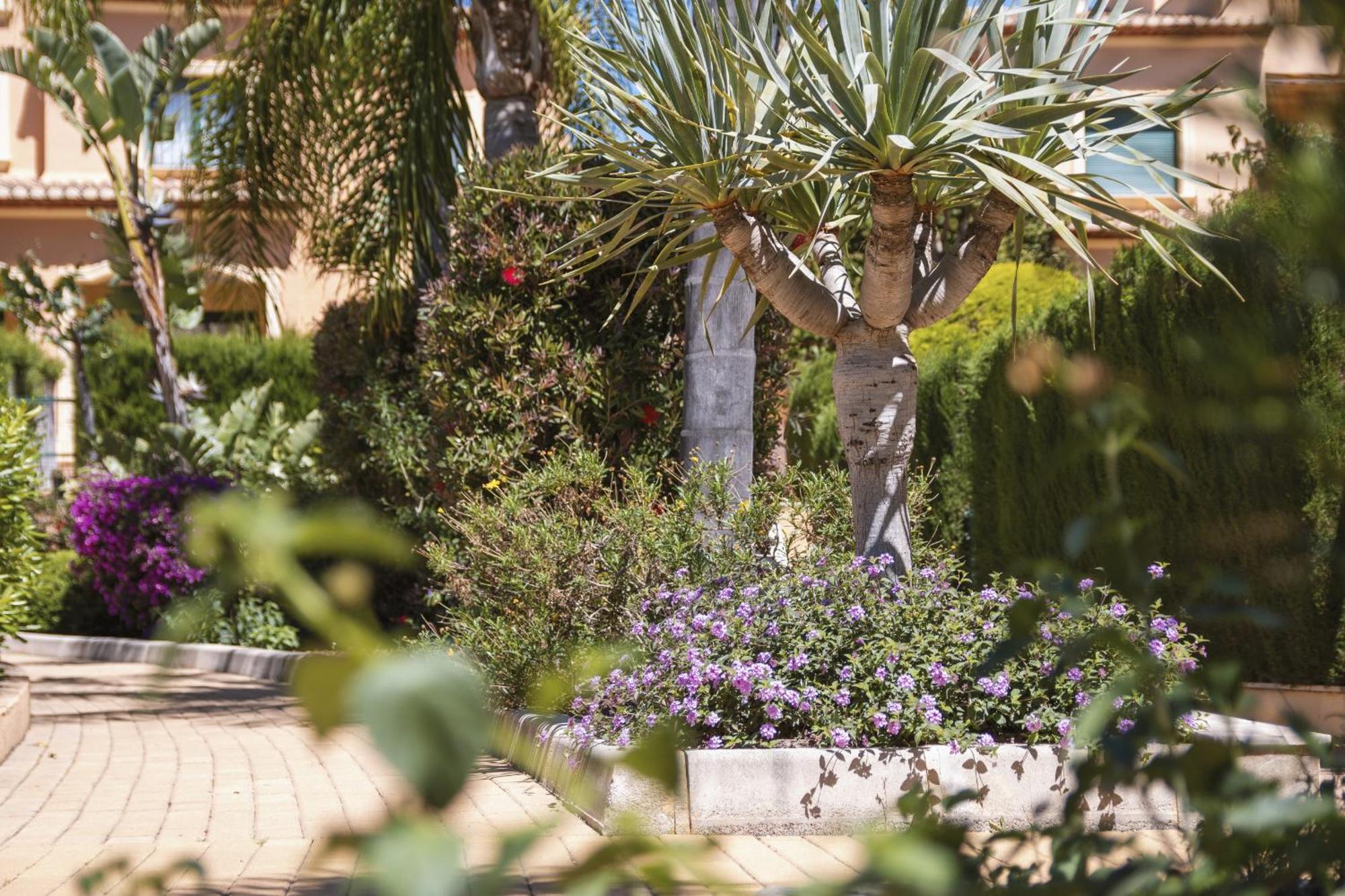 Floridamar Apartment Javea Luaran gambar