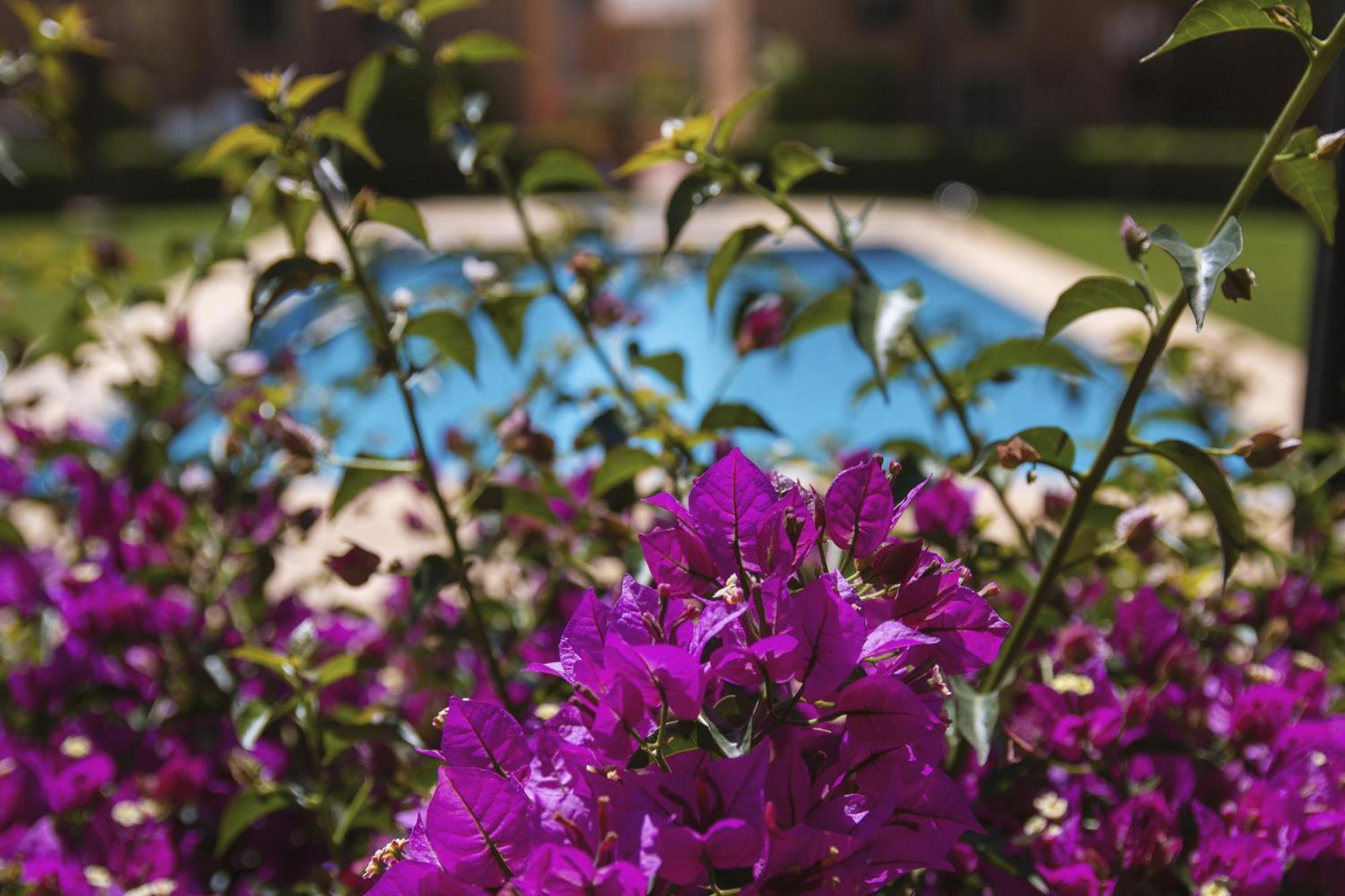 Floridamar Apartment Javea Luaran gambar